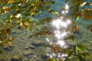Koenigssee6